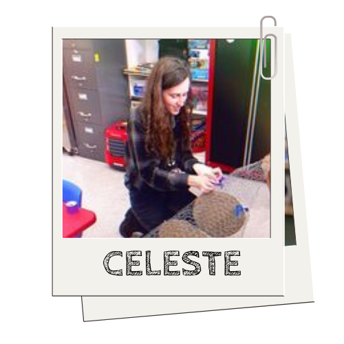 Person crafting with wire mesh in a classroom setting.