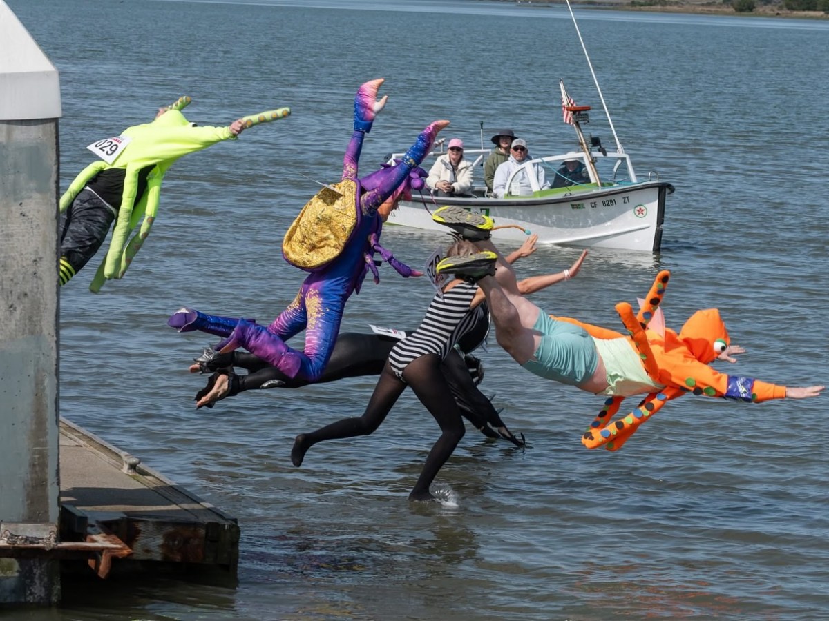 Five people in colorful costumes jumping off a dock into a lake during a fun event.