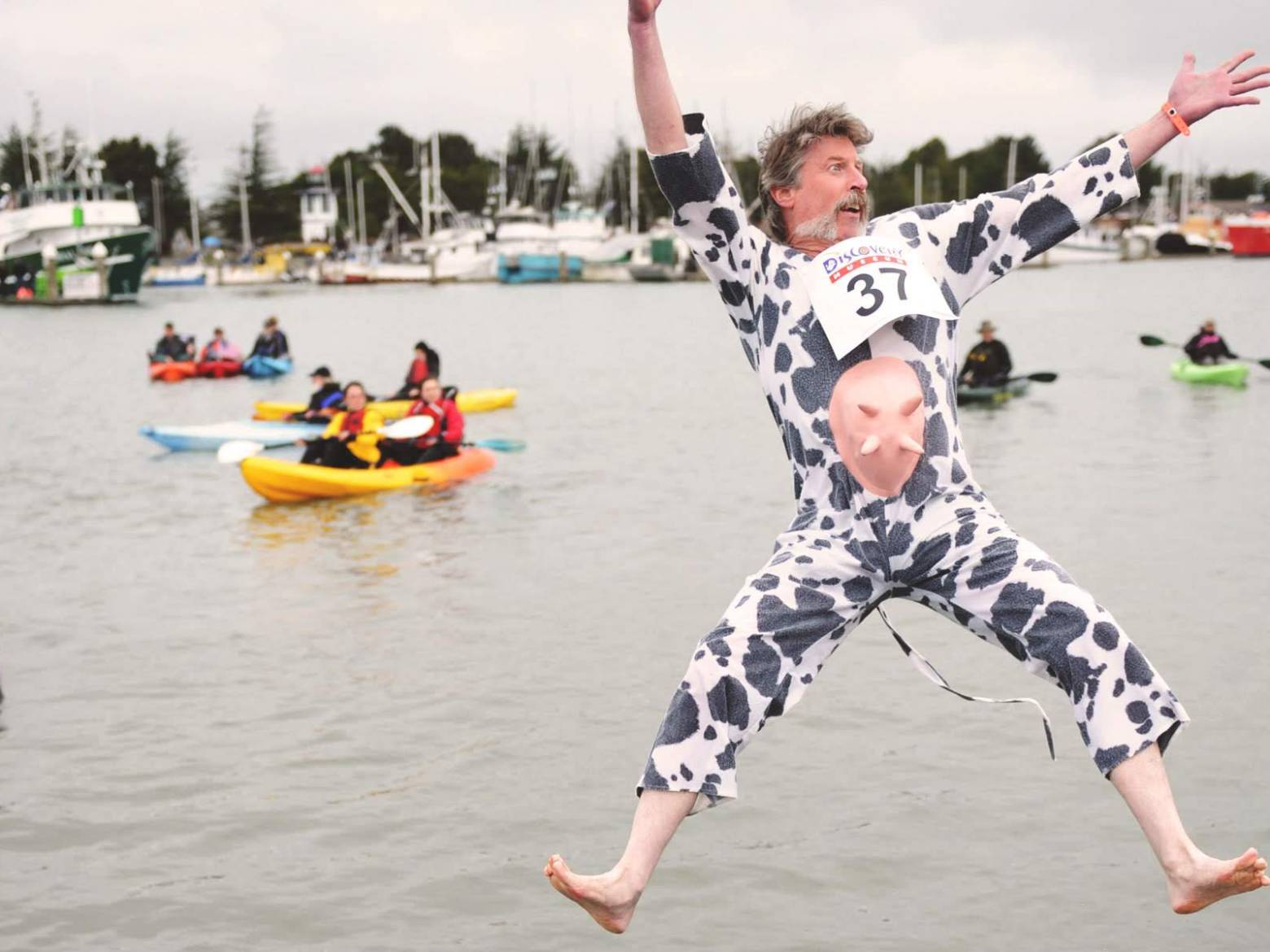 Person in cow costume jumping into water, surrounded by kayakers and boats in background.
