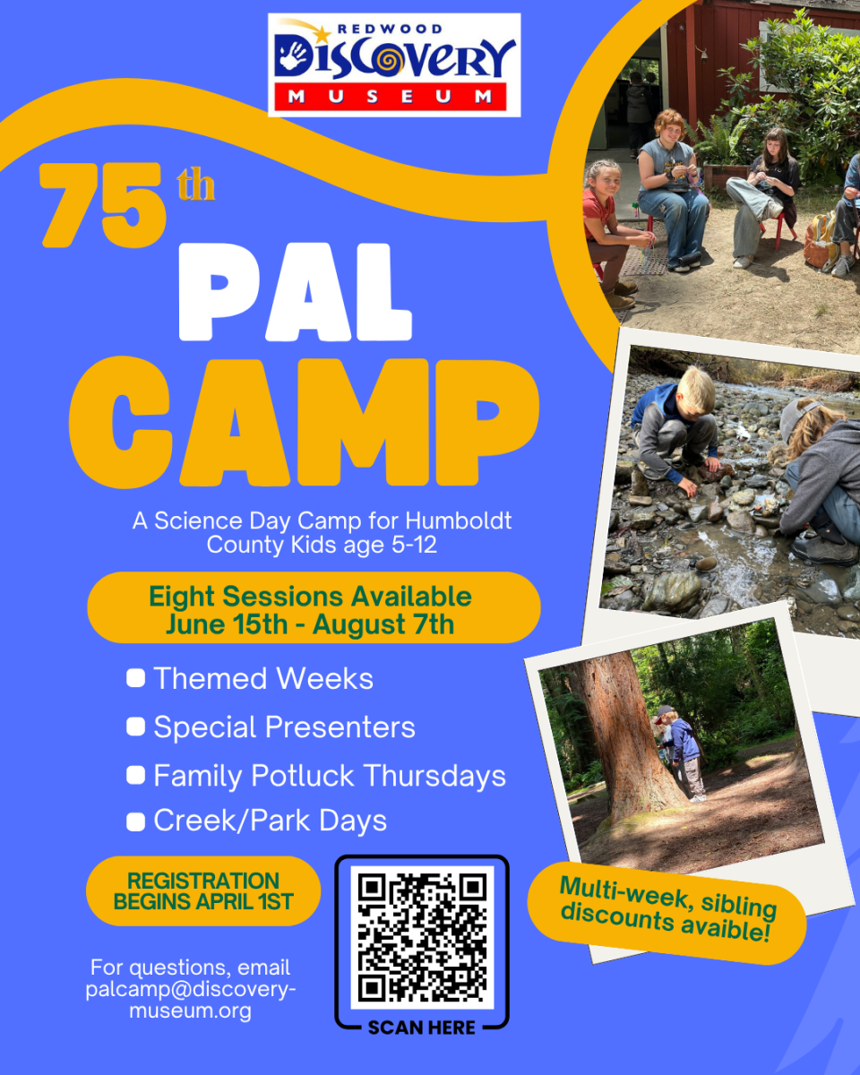 Flyer for Redwood Discovery Museum's 75th PAL Camp for kids, featuring activities, dates, and contact info.